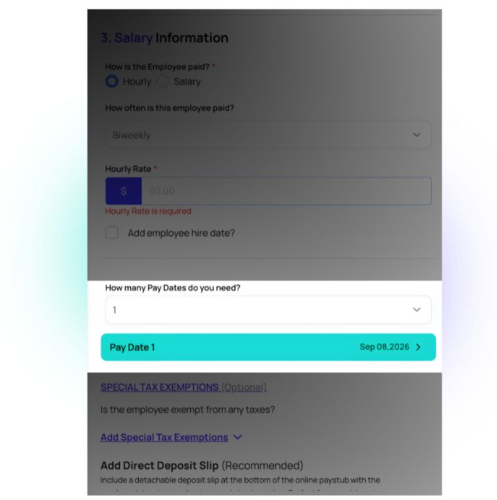 Online Paystub generator step 3: pay schedule and period form