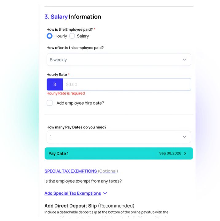 Online Paystub generator step 4: earnings entry form