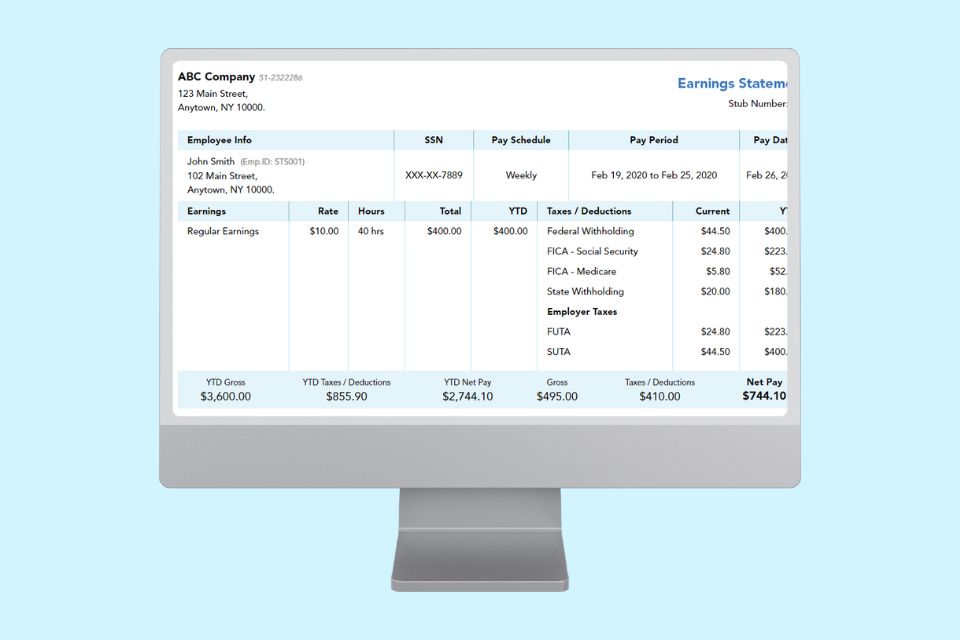 Paystub Preview