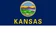 Kansas flag