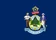 Maine flag