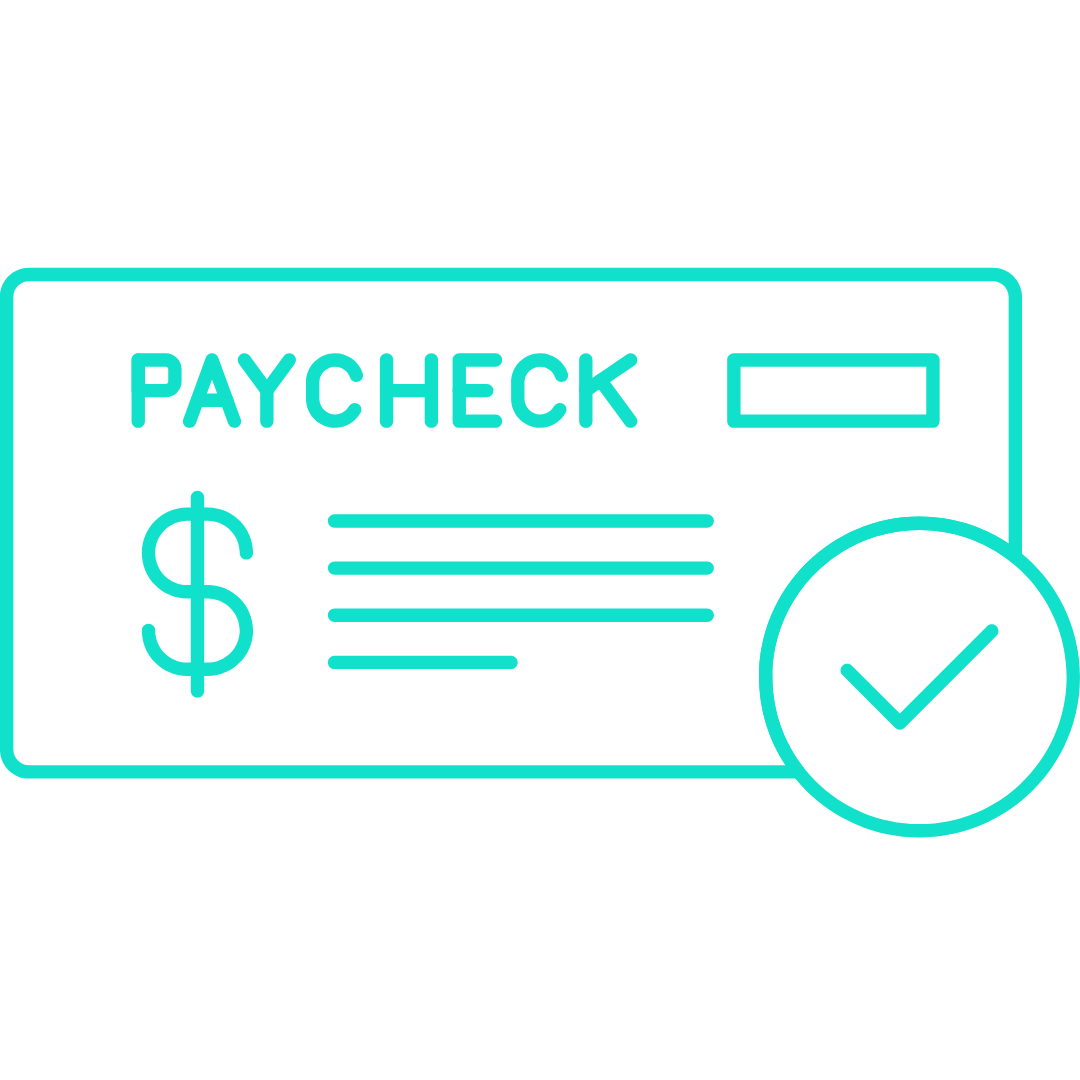 Delaware Paycheck icon