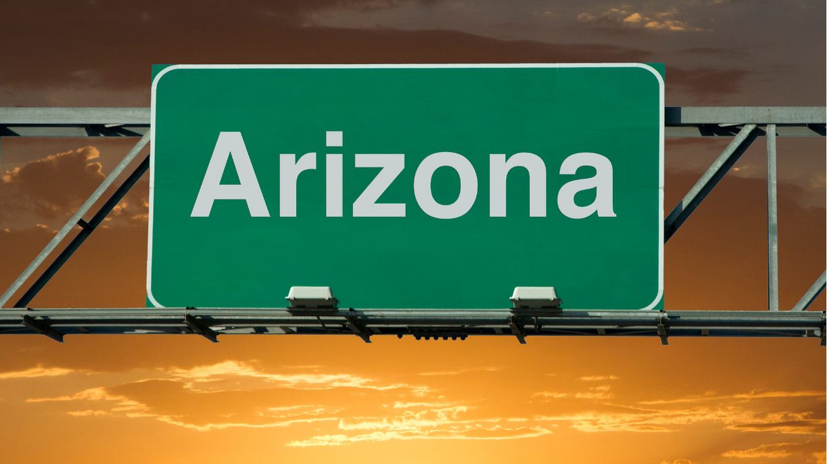 Arizona Pay Stub