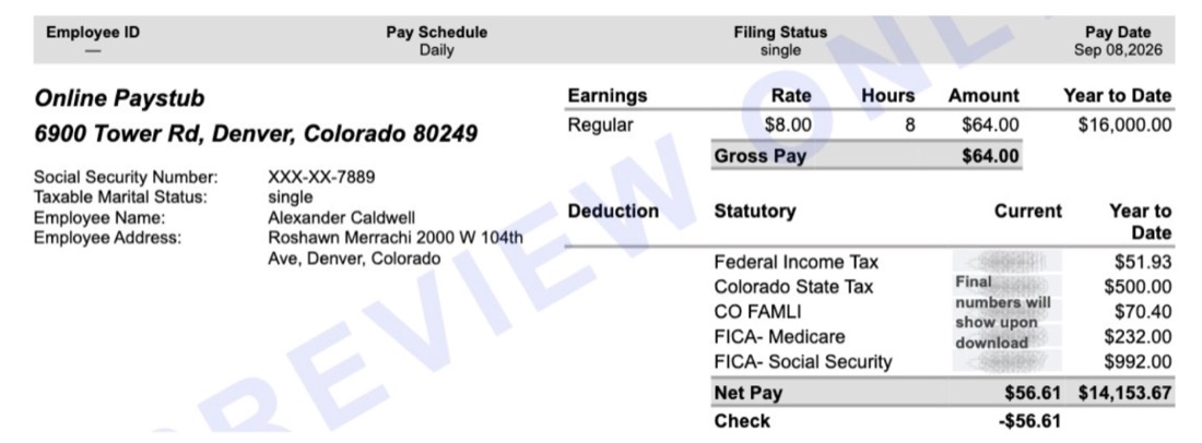 Example Colorado pay stub preview showing earnings, deductions and year-to-date totals
