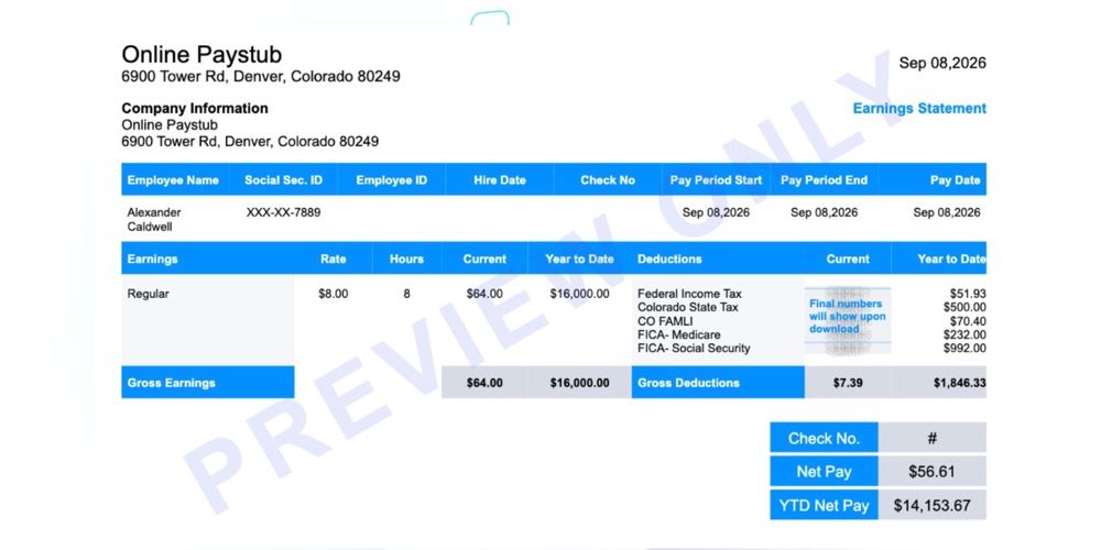 Sample Colorado paystub showing earnings, deductions and year-to-date totals
