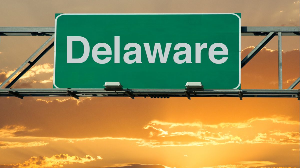 Delaware Pay Stub