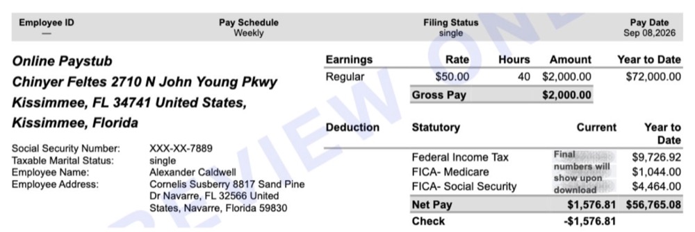 Example Florida pay stub preview showing earnings, deductions and year-to-date totals