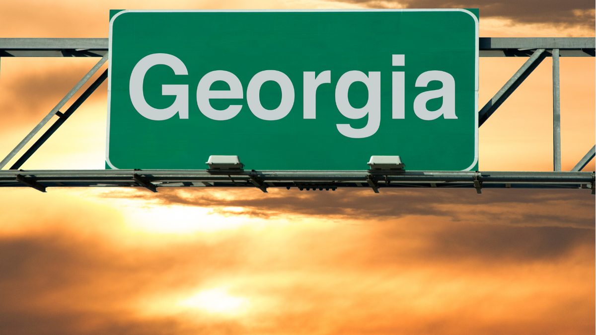 Georgia Pay Stub