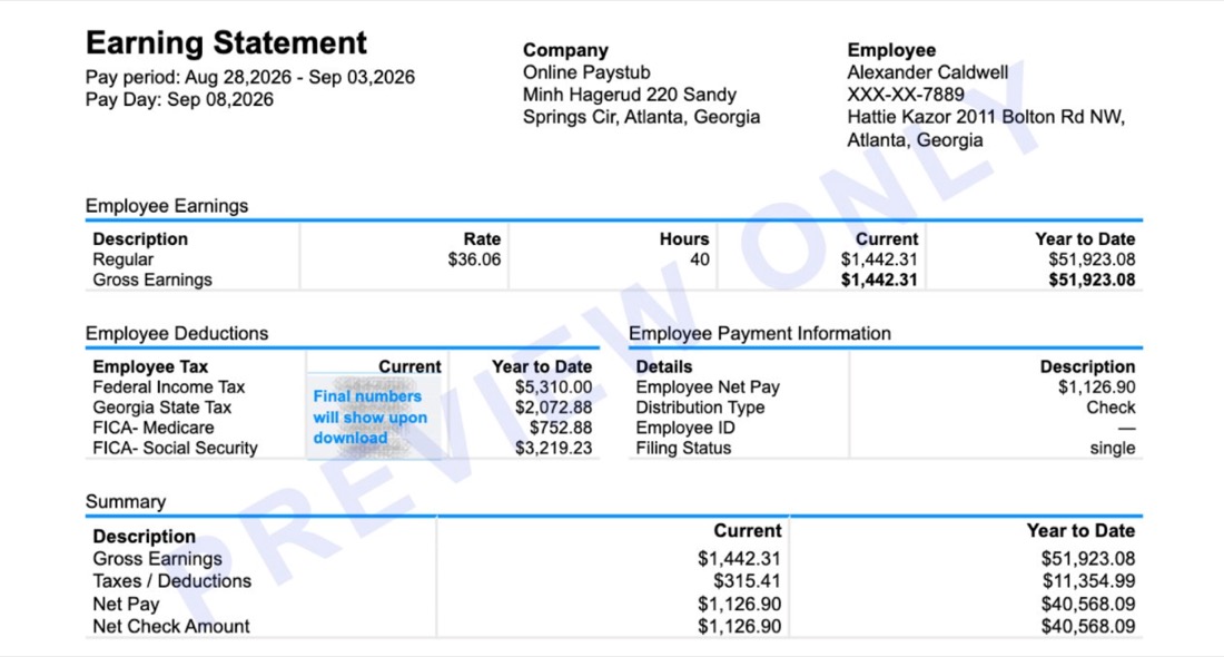 Example Georgia pay stub preview showing earnings, deductions and year-to-date totals