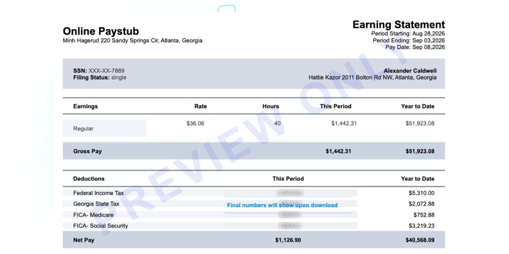 Sample Georgia paystub showing earnings, deductions and year-to-date totals