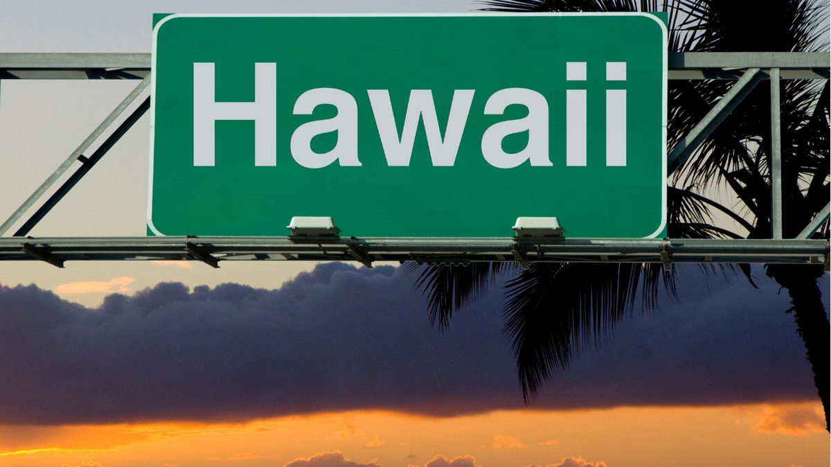 Hawaii Pay Stub