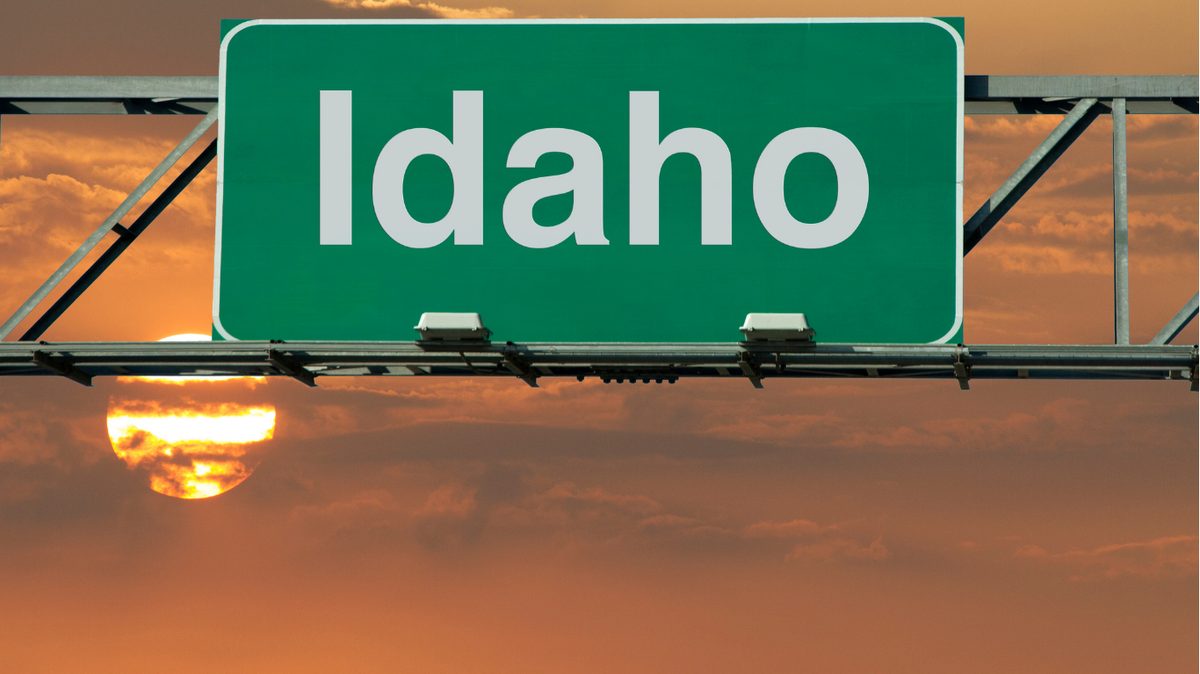 Idaho Pay Stub