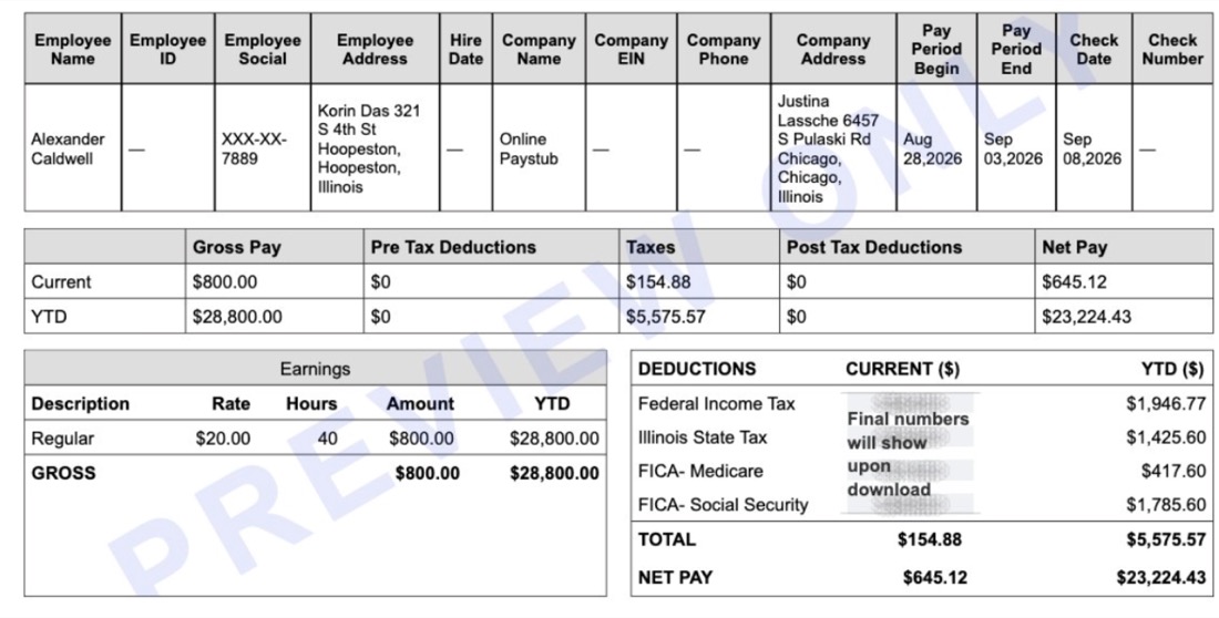Example Illinois pay stub preview showing earnings, deductions and year-to-date totals