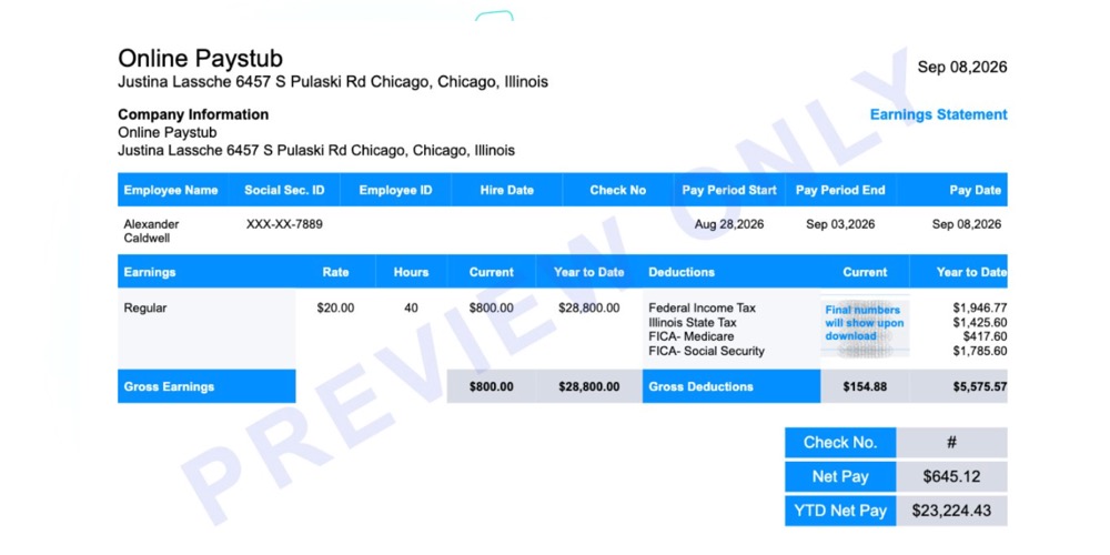 Sample Illinois paystub showing earnings, deductions and year-to-date totals