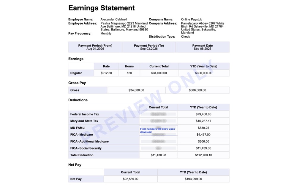 Example Maryland pay stub preview showing earnings, deductions and year-to-date totals