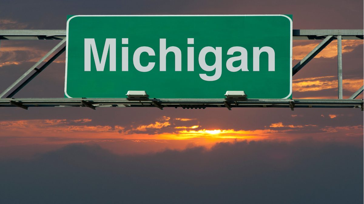 Michigan Pay Stub