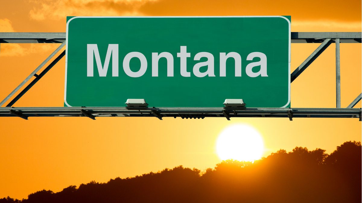 Montana Pay Stub