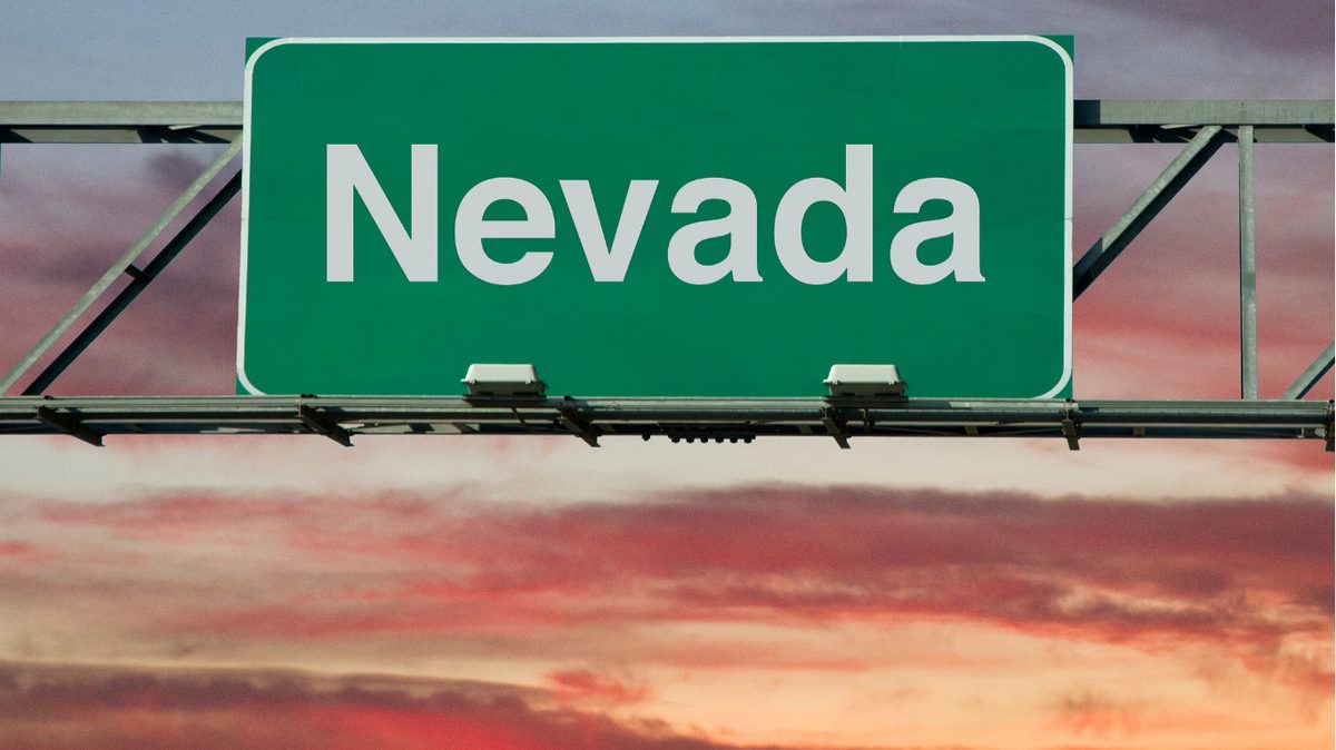 Nevada Pay Stub