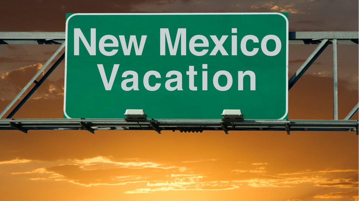 New Mexico Pay Stub