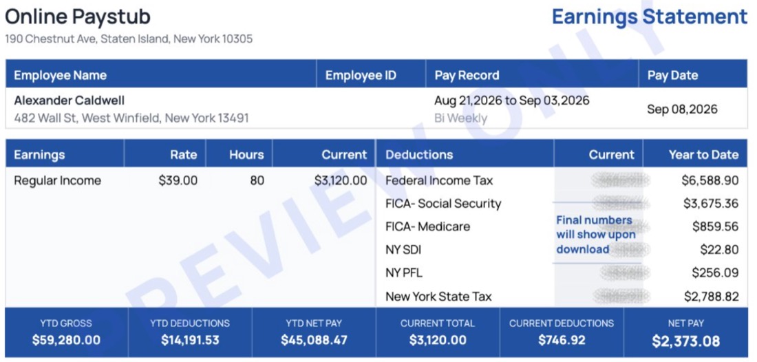 Example New York pay stub preview showing earnings, deductions and year-to-date totals