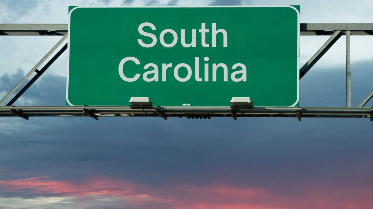 South Carolina Pay Stub