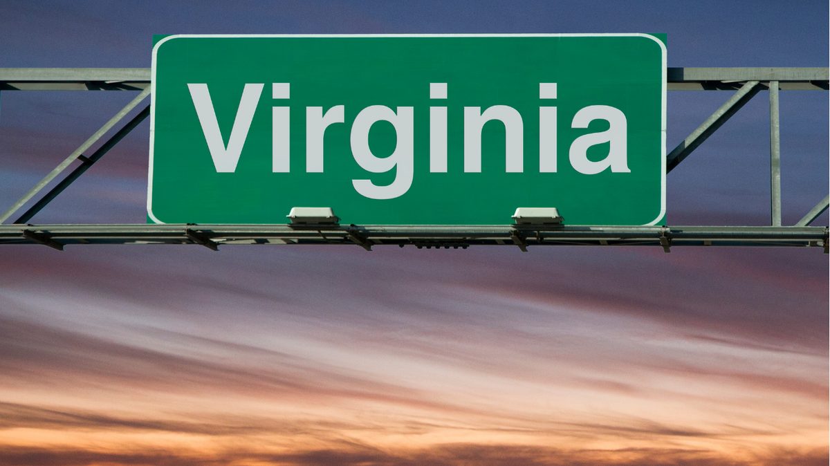 Virginia Pay Stub