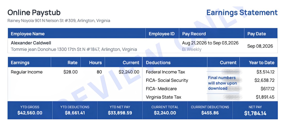 Example Virginia pay stub preview showing earnings, deductions and year-to-date totals