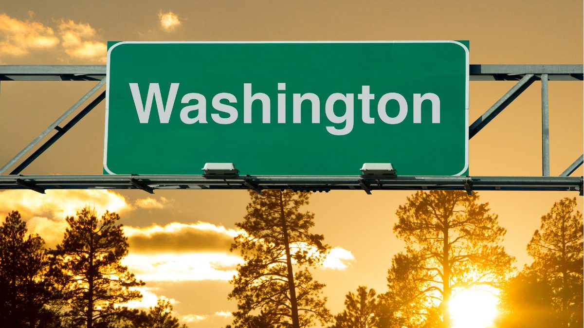 Washington Pay Stub