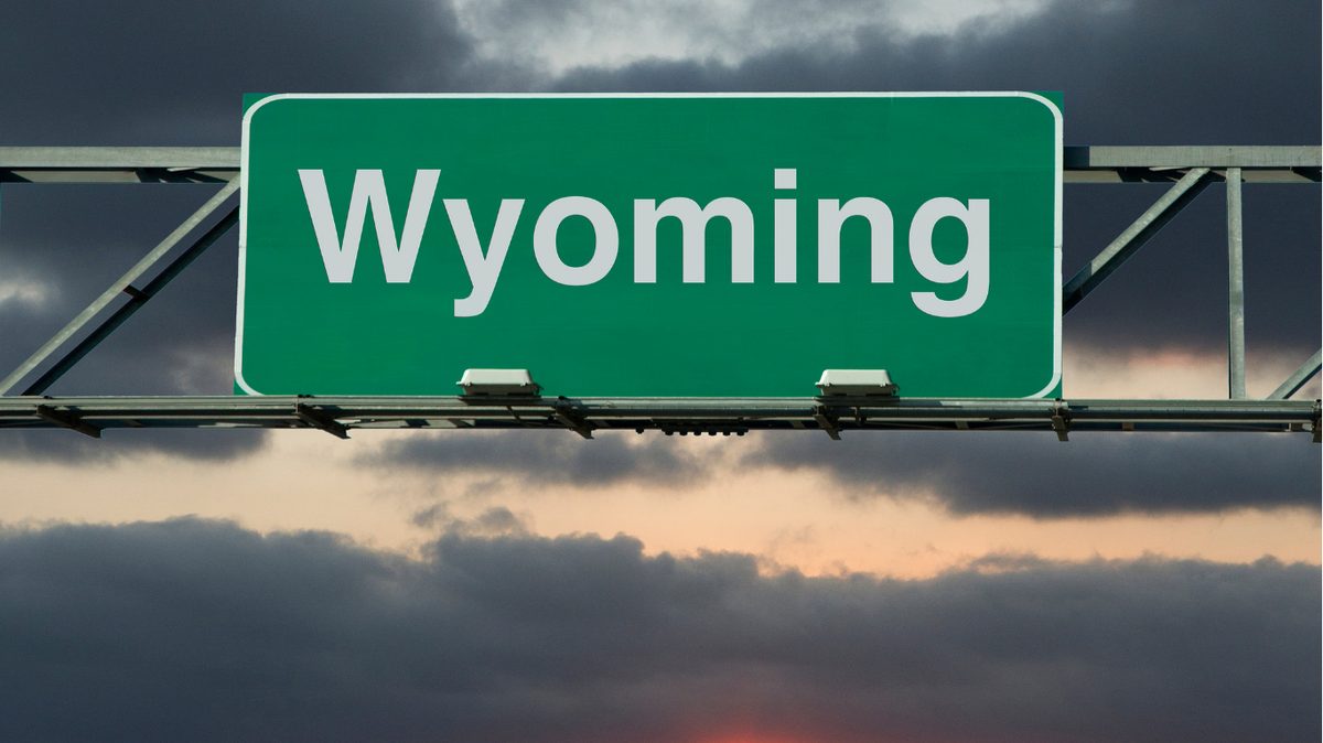Wyoming Pay Stub